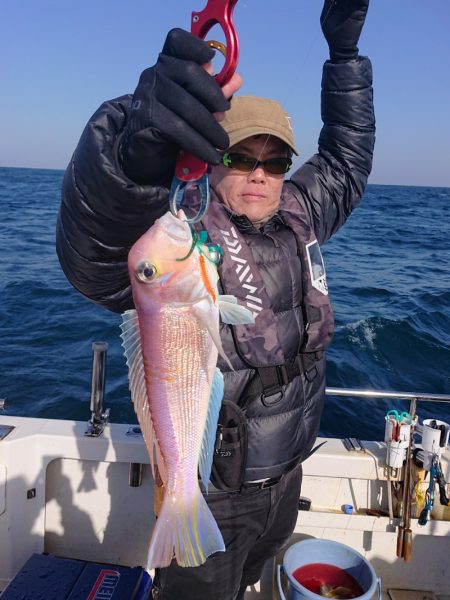 ARCADIAⅡ （アルカディアⅡ） 釣果