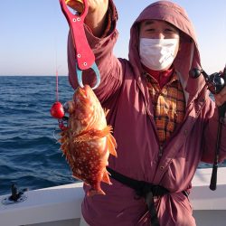 ARCADIAⅡ （アルカディアⅡ） 釣果