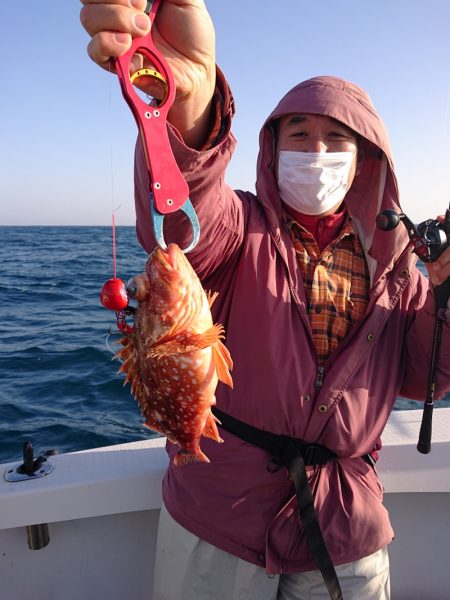 ARCADIAⅡ （アルカディアⅡ） 釣果