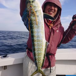 ARCADIAⅡ （アルカディアⅡ） 釣果