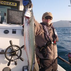 ARCADIAⅡ （アルカディアⅡ） 釣果