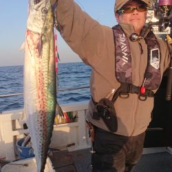 ARCADIAⅡ （アルカディアⅡ） 釣果