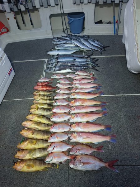 ARCADIAⅡ （アルカディアⅡ） 釣果