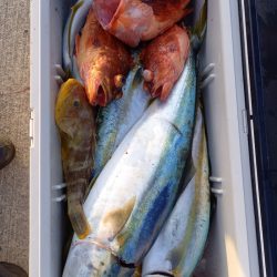 第二龍勢丸 釣果