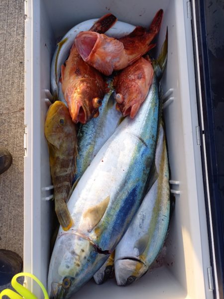 第二龍勢丸 釣果