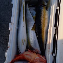 第二龍勢丸 釣果