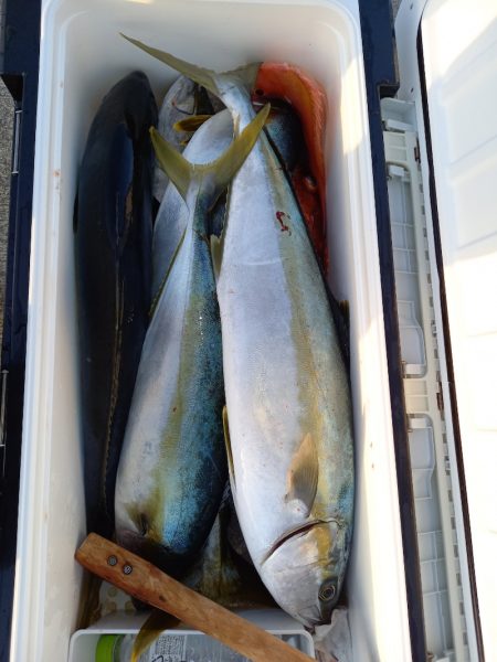 第二龍勢丸 釣果