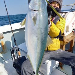 アマテラス 釣果