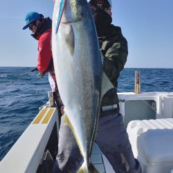 アマテラス 釣果