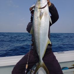 アマテラス 釣果