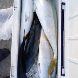 第二龍勢丸 釣果