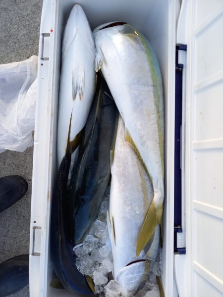 第二龍勢丸 釣果