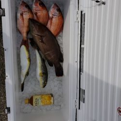 富士丸 釣果