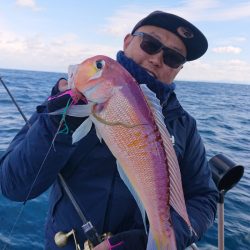 ARCADIAⅡ (アルカディアⅡ) 釣果