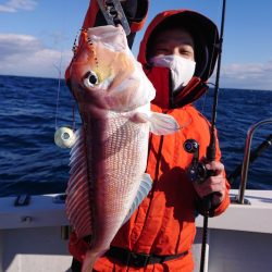 ARCADIAⅡ (アルカディアⅡ) 釣果