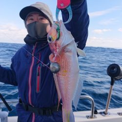 ARCADIAⅡ (アルカディアⅡ) 釣果