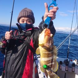 ARCADIAⅡ (アルカディアⅡ) 釣果