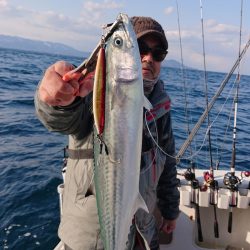 ARCADIAⅡ (アルカディアⅡ) 釣果