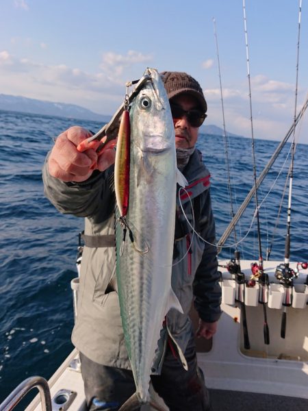 ARCADIAⅡ (アルカディアⅡ) 釣果