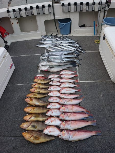 ARCADIAⅡ (アルカディアⅡ) 釣果