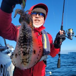 ソルトウォーターガイドフレンズ 釣果