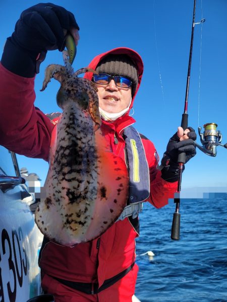 ソルトウォーターガイドフレンズ 釣果