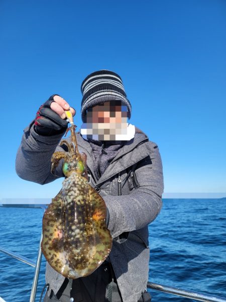 ソルトウォーターガイドフレンズ 釣果