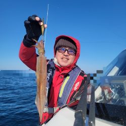 ソルトウォーターガイドフレンズ 釣果