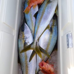 第二龍勢丸 釣果