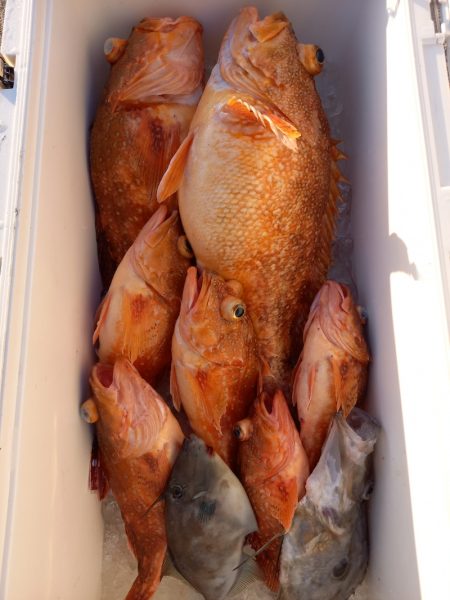 第二龍勢丸 釣果