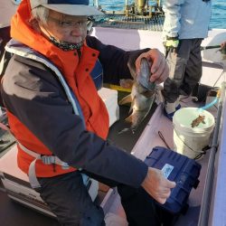 海龍丸（石川） 釣果