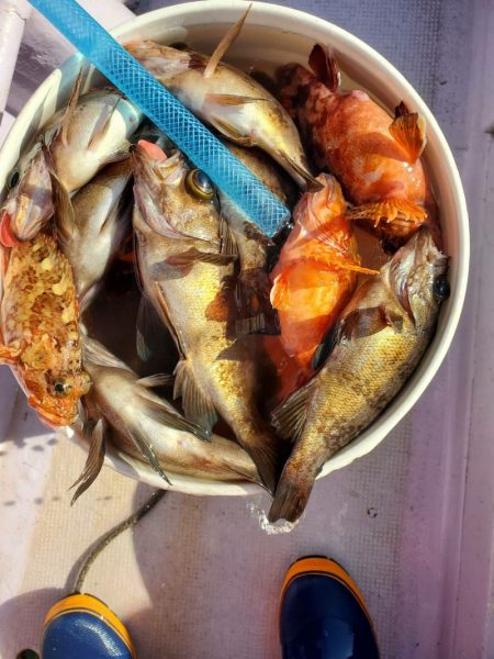海龍丸（石川） 釣果