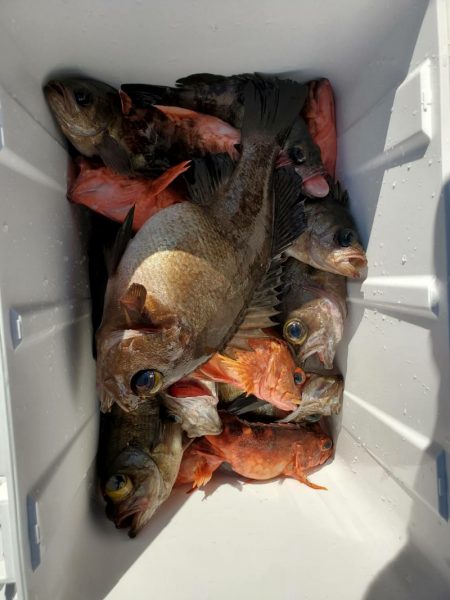 海龍丸（石川） 釣果