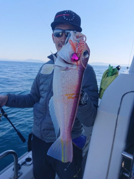 ARCADIAⅡ (アルカディアⅡ) 釣果