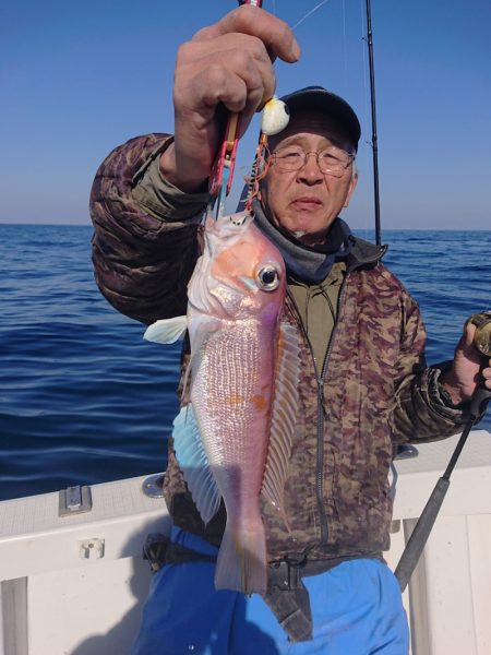 ARCADIAⅡ (アルカディアⅡ) 釣果