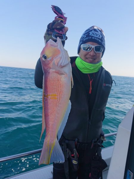 ARCADIAⅡ (アルカディアⅡ) 釣果