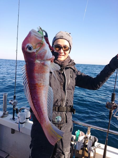 ARCADIAⅡ (アルカディアⅡ) 釣果