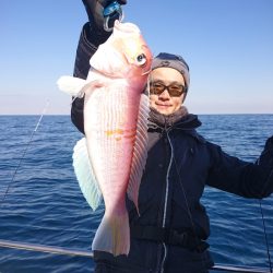 ARCADIAⅡ (アルカディアⅡ) 釣果