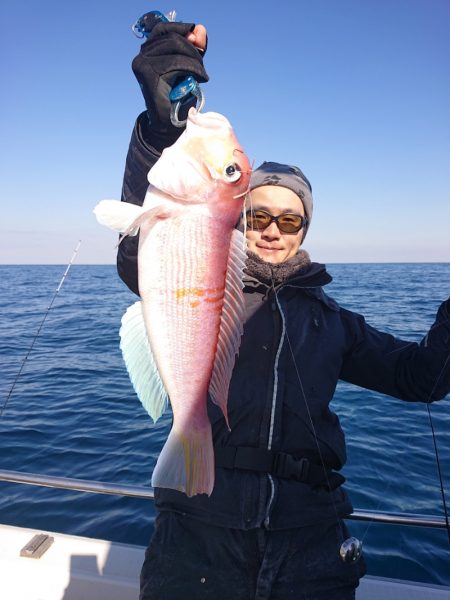 ARCADIAⅡ (アルカディアⅡ) 釣果