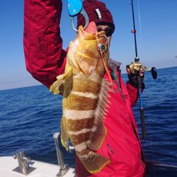 ARCADIAⅡ (アルカディアⅡ) 釣果