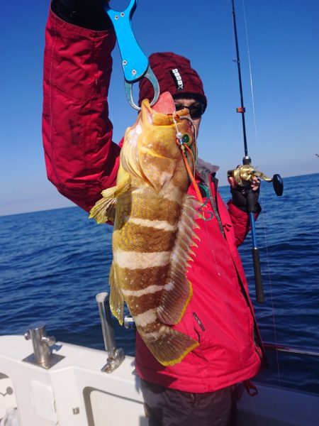 ARCADIAⅡ (アルカディアⅡ) 釣果