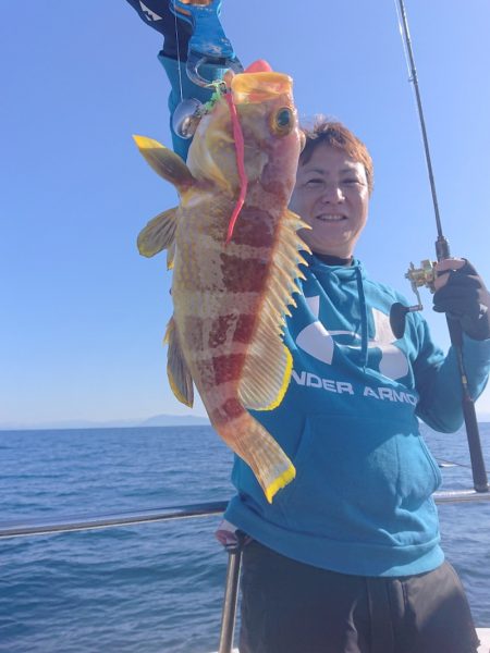 ARCADIAⅡ (アルカディアⅡ) 釣果