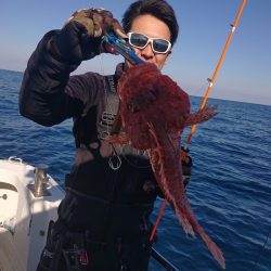 ARCADIAⅡ (アルカディアⅡ) 釣果