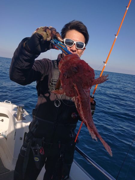 ARCADIAⅡ (アルカディアⅡ) 釣果