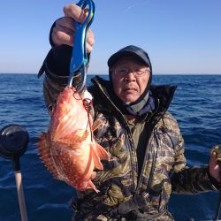 ARCADIAⅡ (アルカディアⅡ) 釣果