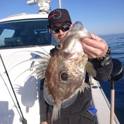 ARCADIAⅡ (アルカディアⅡ) 釣果