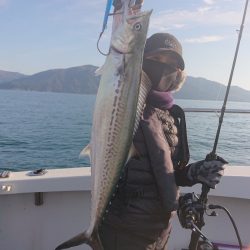 ARCADIAⅡ (アルカディアⅡ) 釣果