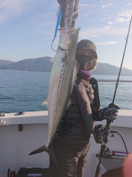 ARCADIAⅡ (アルカディアⅡ) 釣果