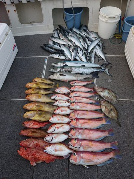 ARCADIAⅡ (アルカディアⅡ) 釣果