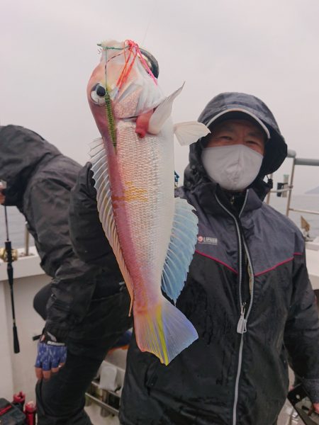 ARCADIAⅡ (アルカディアⅡ) 釣果